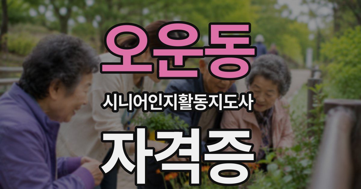 오운동 시니어인지활동지도사 자격증