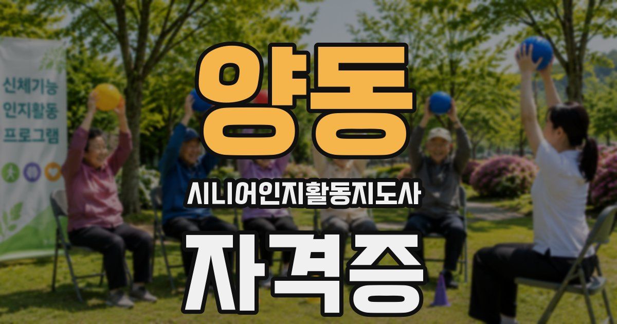 양동 시니어인지활동지도사 자격증