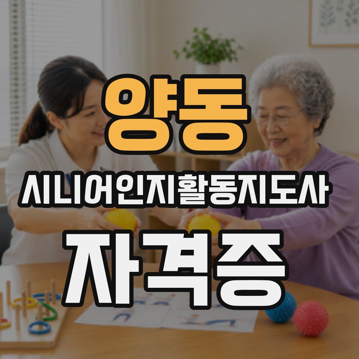 양동 시니어인지활동지도사 자격증