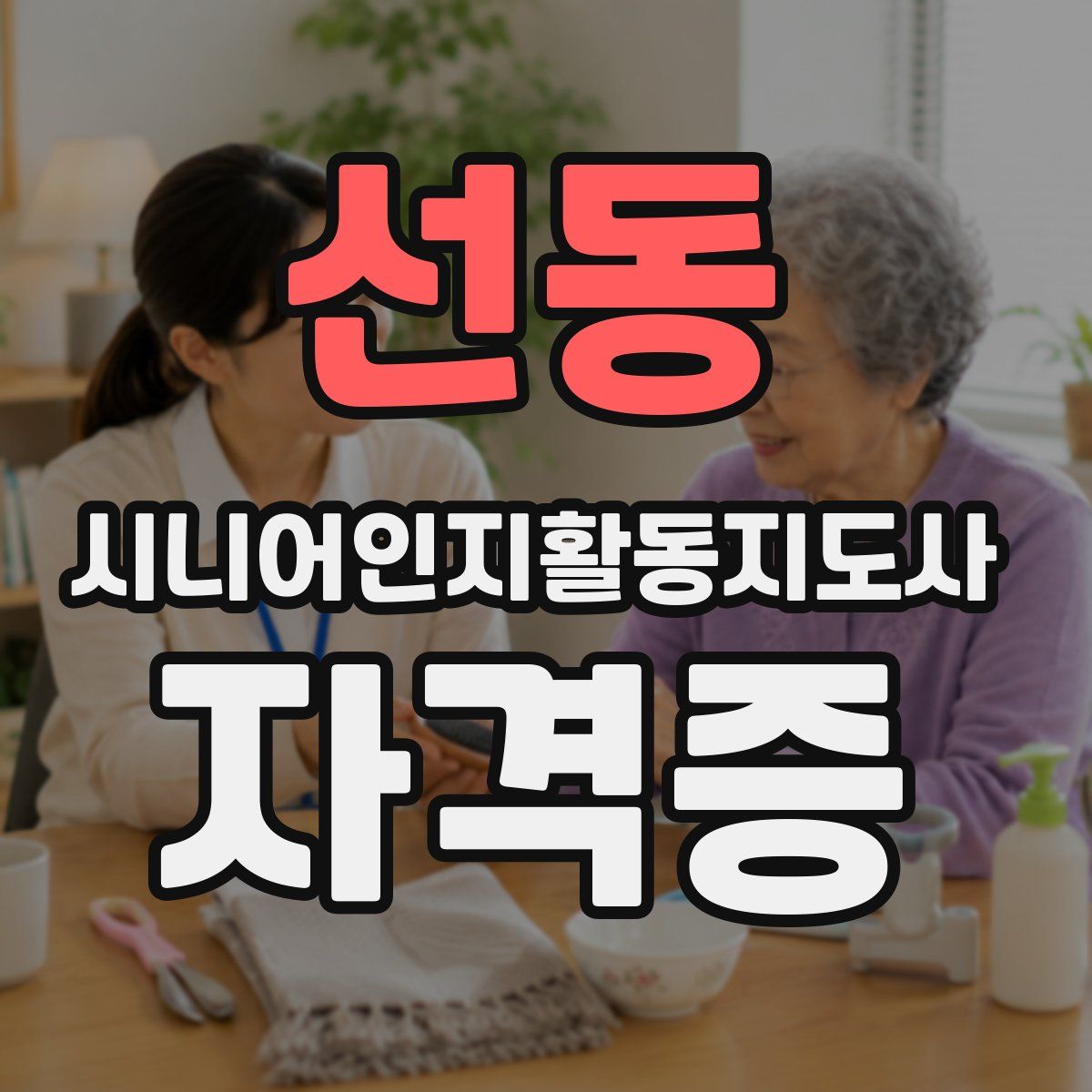 선동 시니어인지활동지도사 자격증