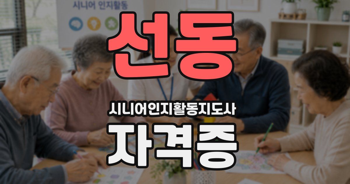 선동 시니어인지활동지도사 자격증