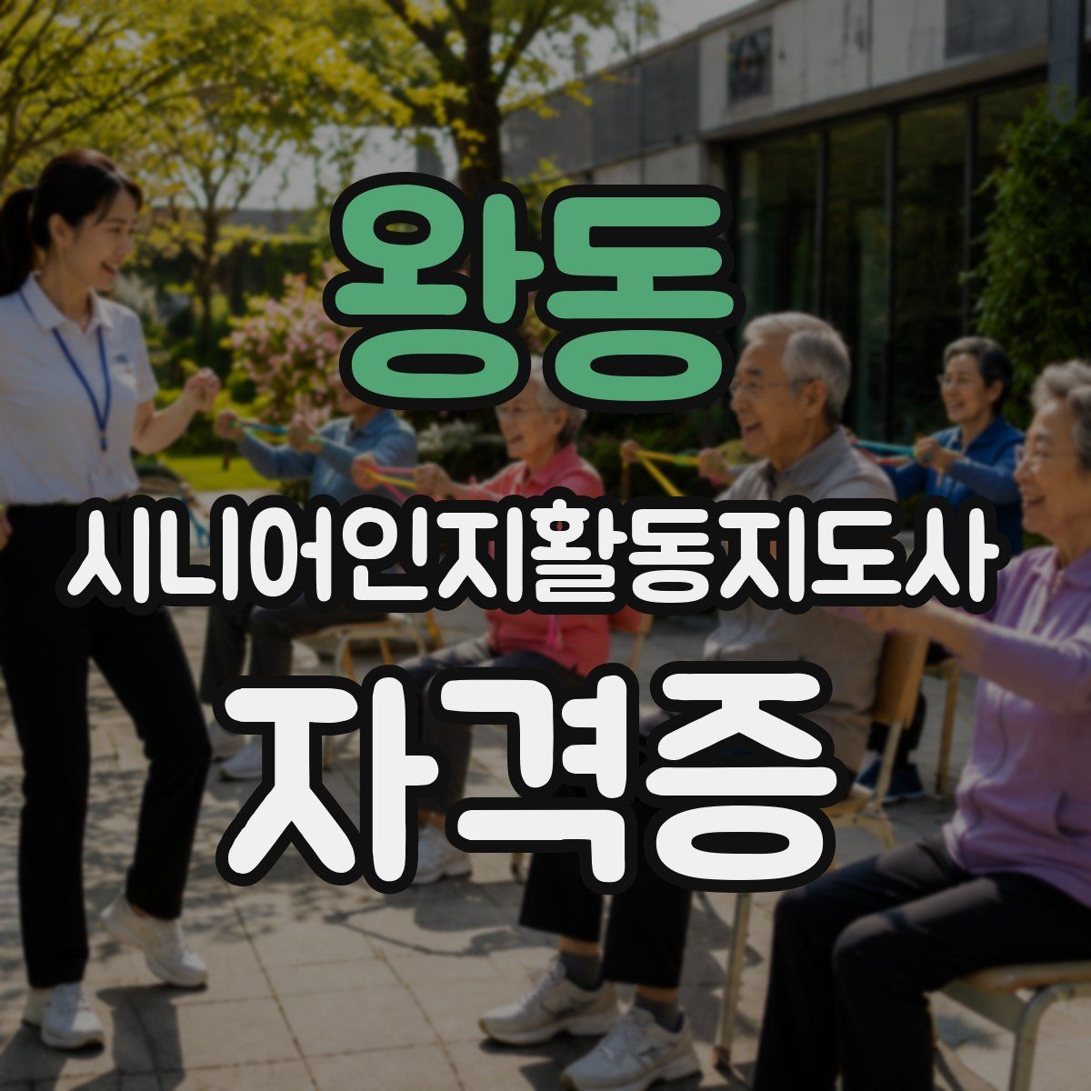 왕동 시니어인지활동지도사 자격증