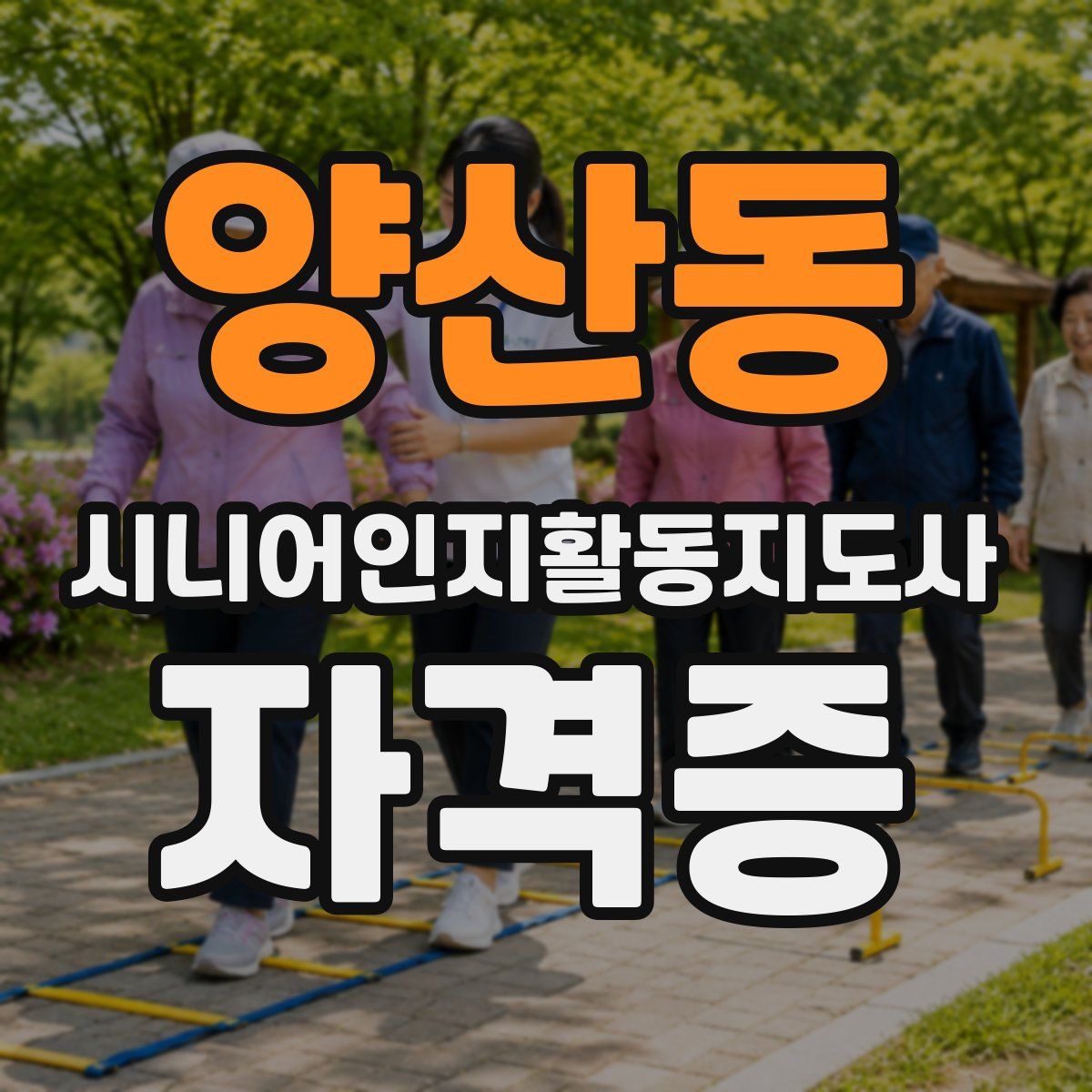양산동 시니어인지활동지도사 자격증