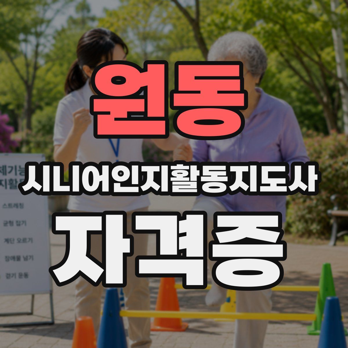 원동 시니어인지활동지도사 자격증