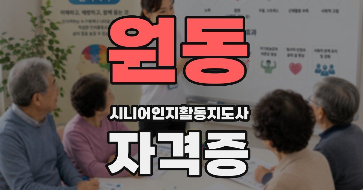 원동 시니어인지활동지도사 자격증