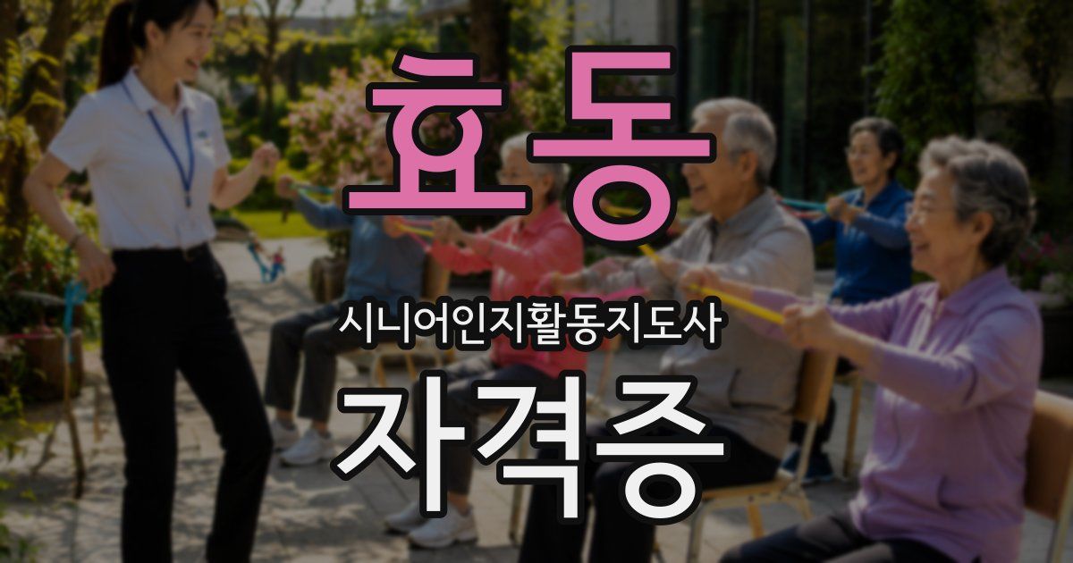 효동 시니어인지활동지도사 자격증