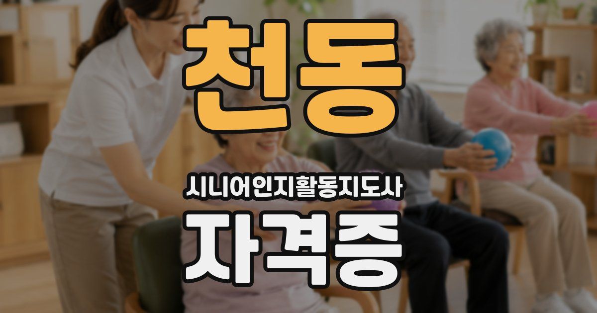 천동 시니어인지활동지도사 자격증