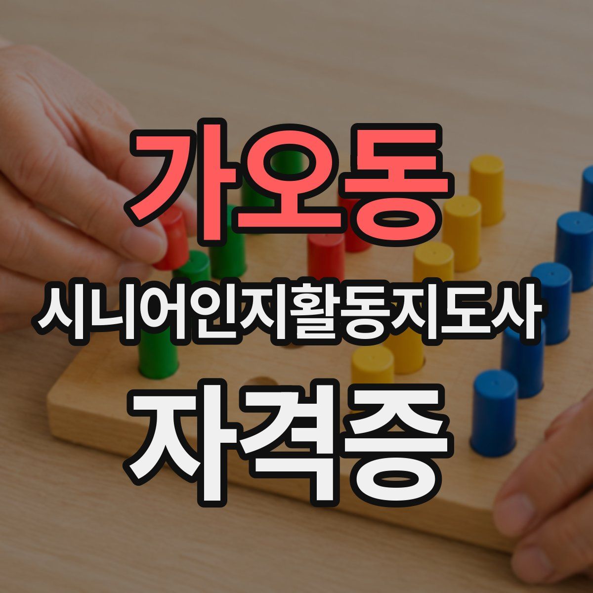 가오동 시니어인지활동지도사 자격증