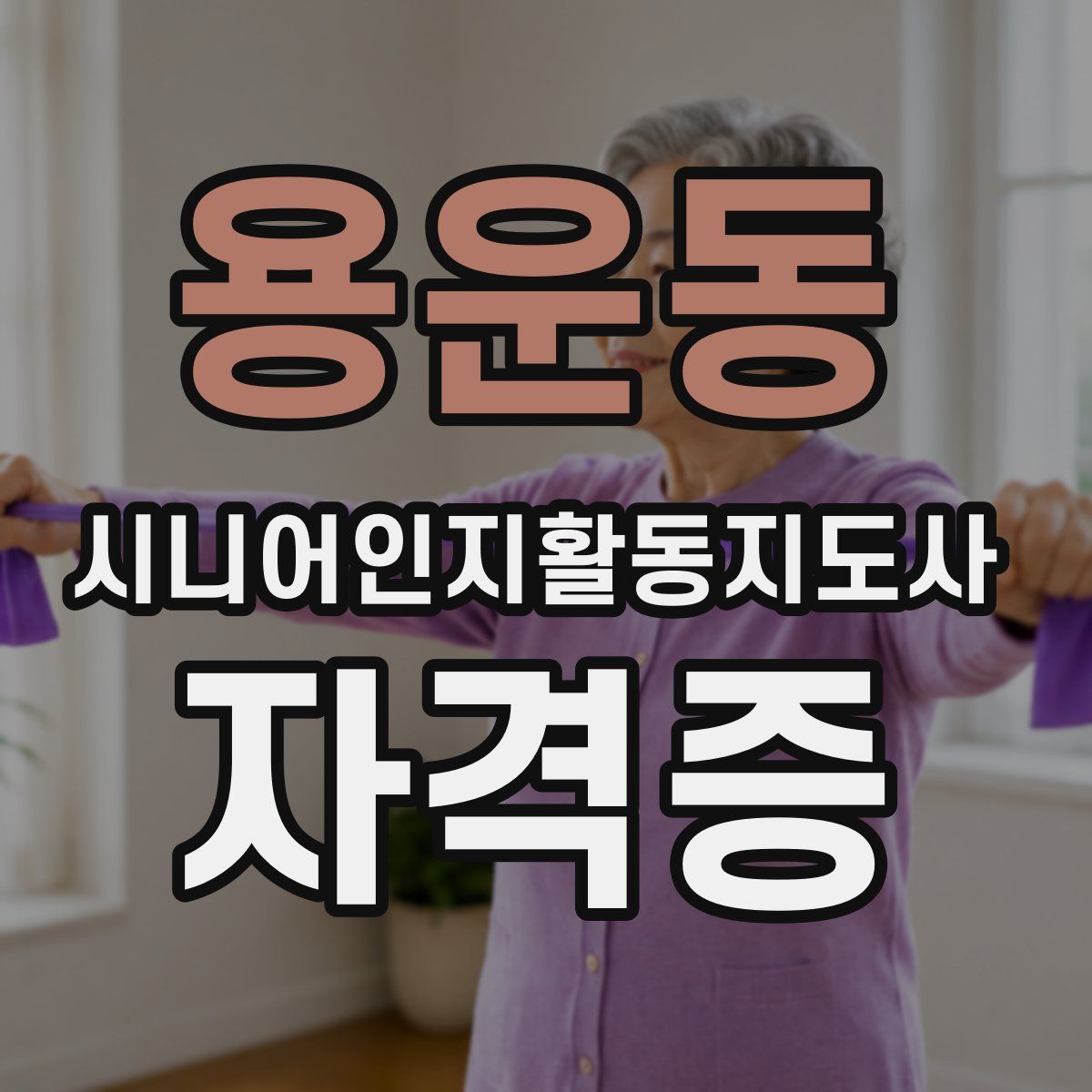 용운동 시니어인지활동지도사 자격증