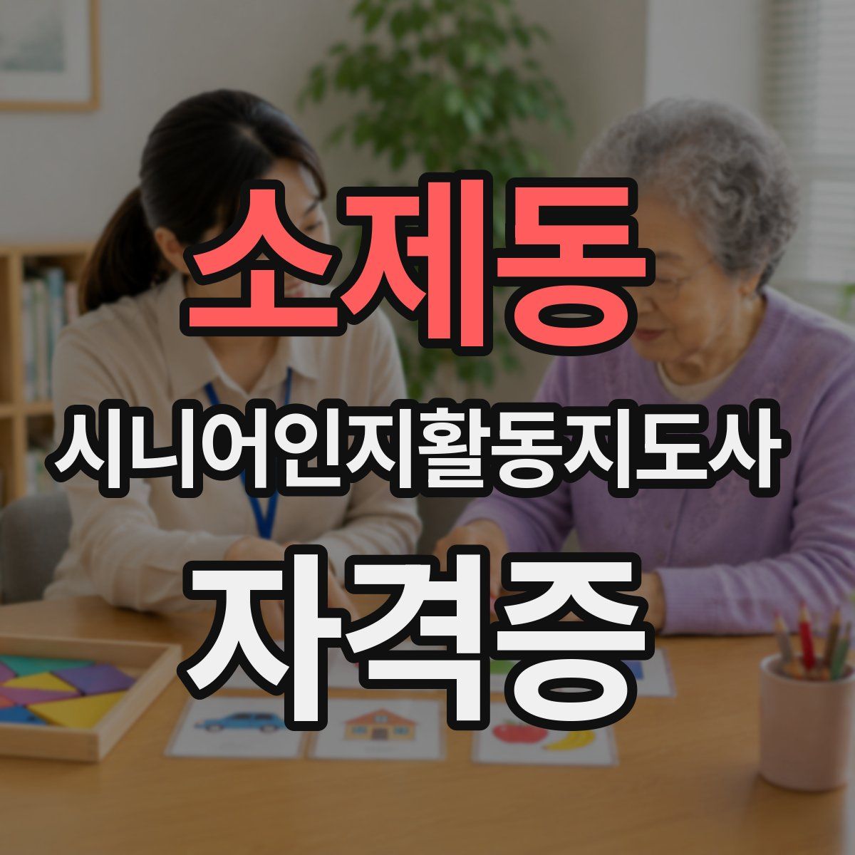 소제동 시니어인지활동지도사 자격증
