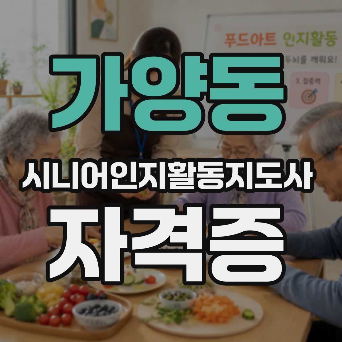 가양동 시니어인지활동지도사 자격증
