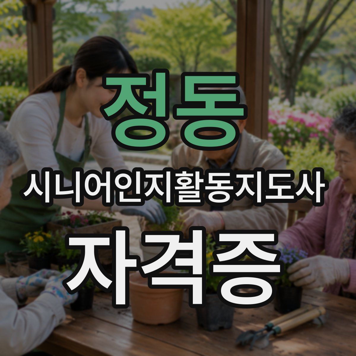 정동 시니어인지활동지도사 자격증