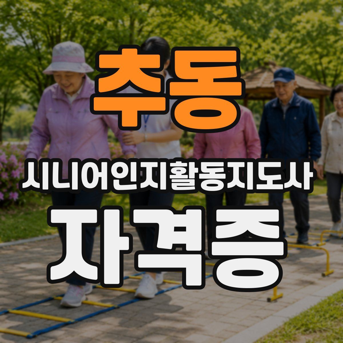 추동 시니어인지활동지도사 자격증