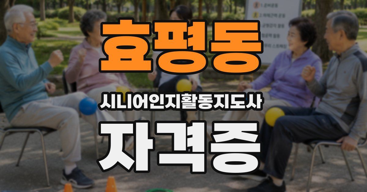효평동 시니어인지활동지도사 자격증
