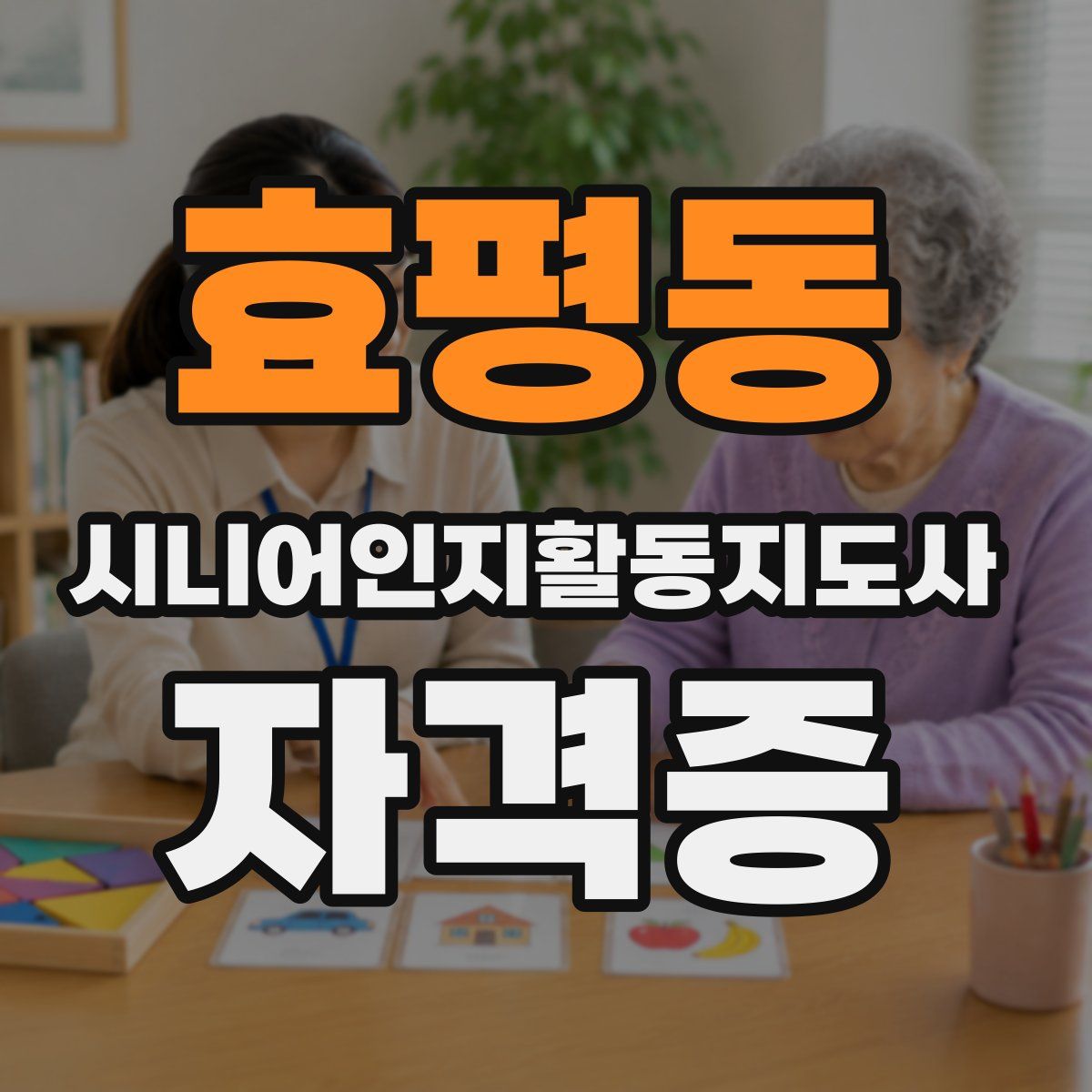 효평동 시니어인지활동지도사 자격증