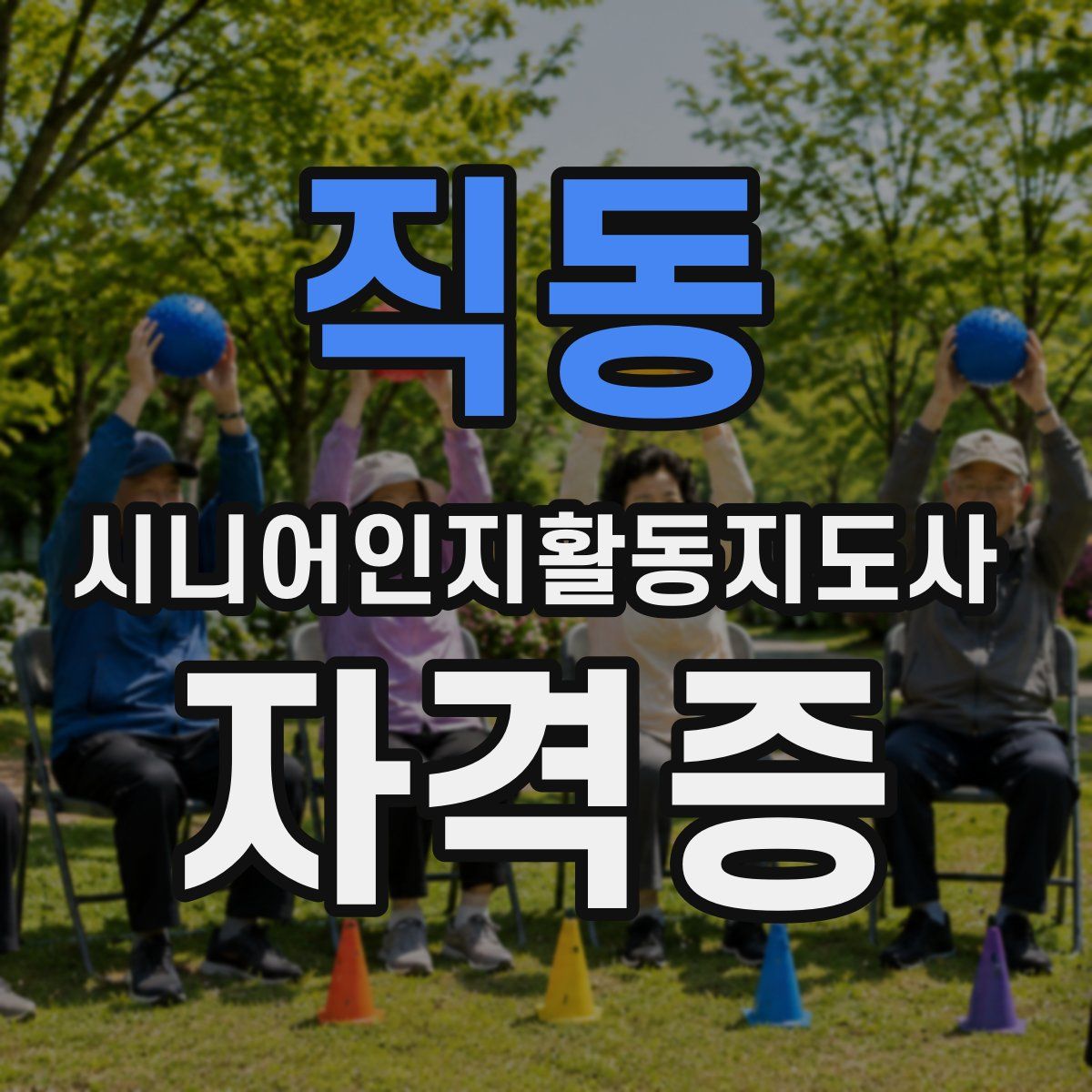 직동 시니어인지활동지도사 자격증