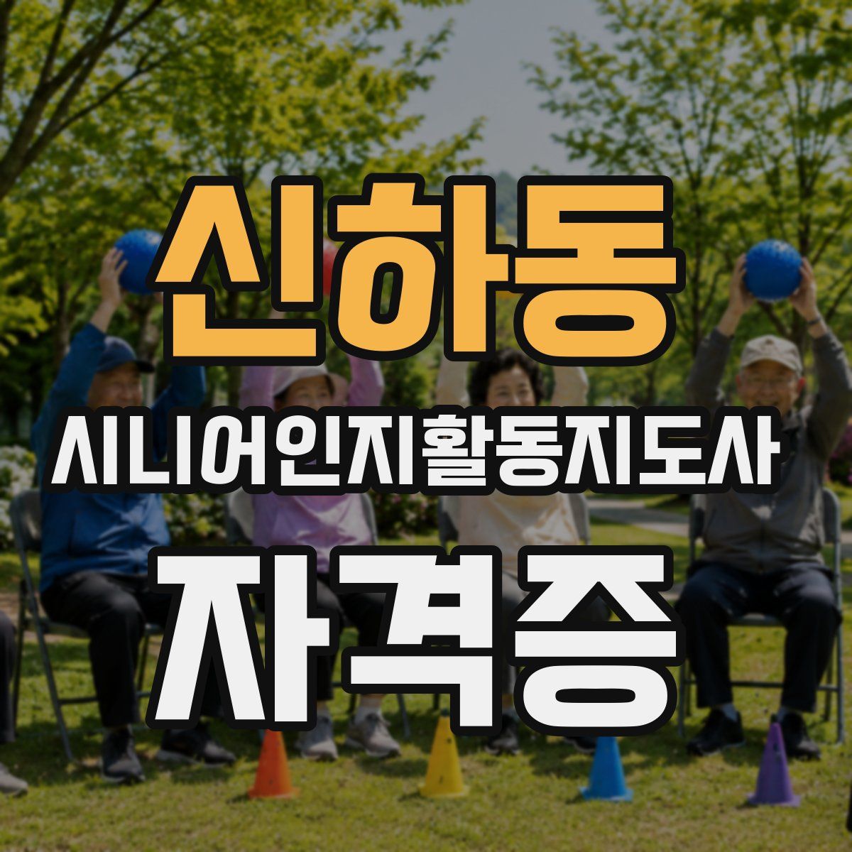 신하동 시니어인지활동지도사 자격증