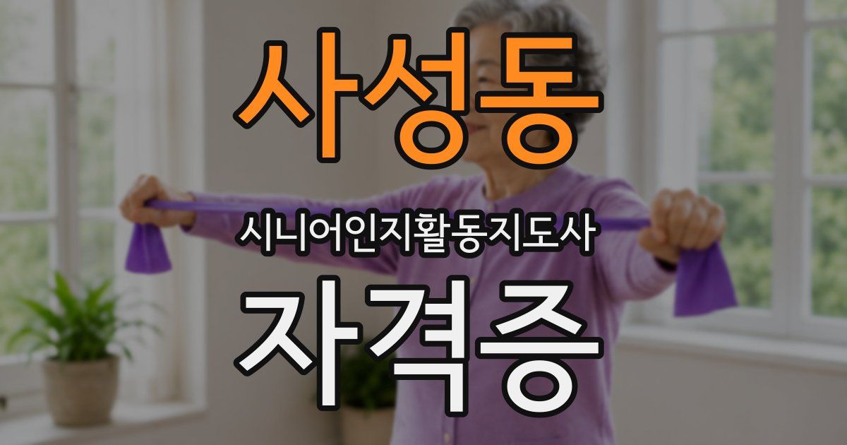 사성동 시니어인지활동지도사 자격증