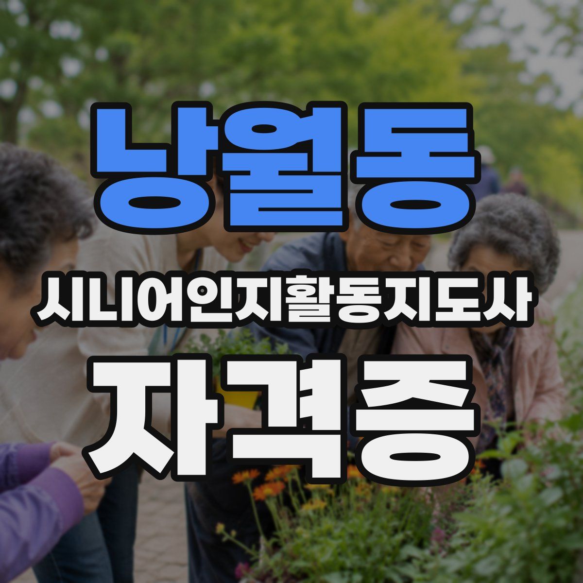 낭월동 시니어인지활동지도사 자격증