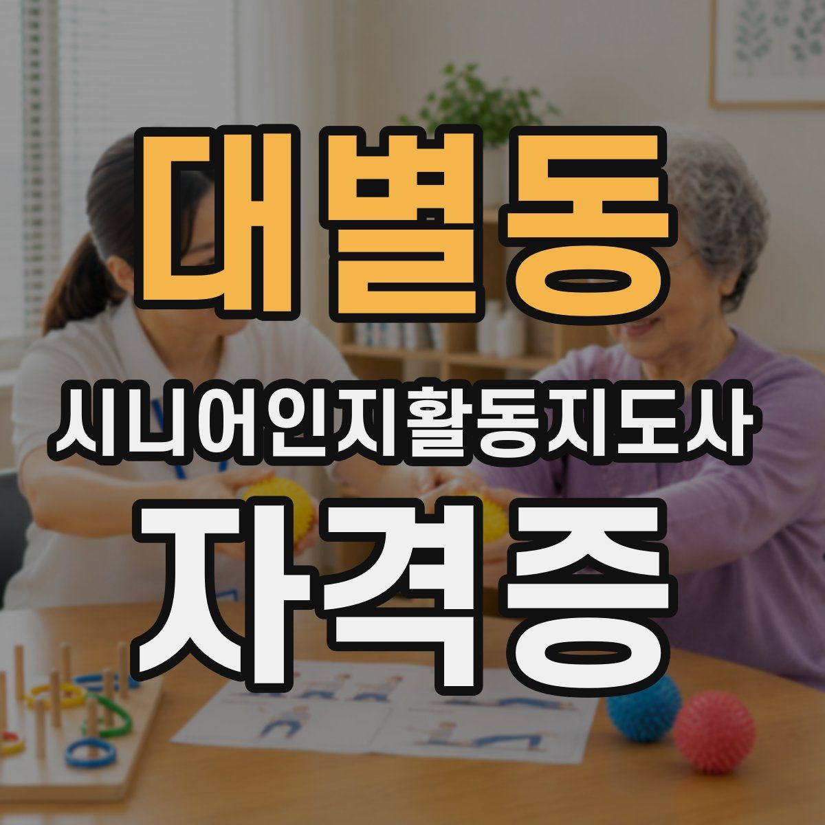 대별동 시니어인지활동지도사 자격증