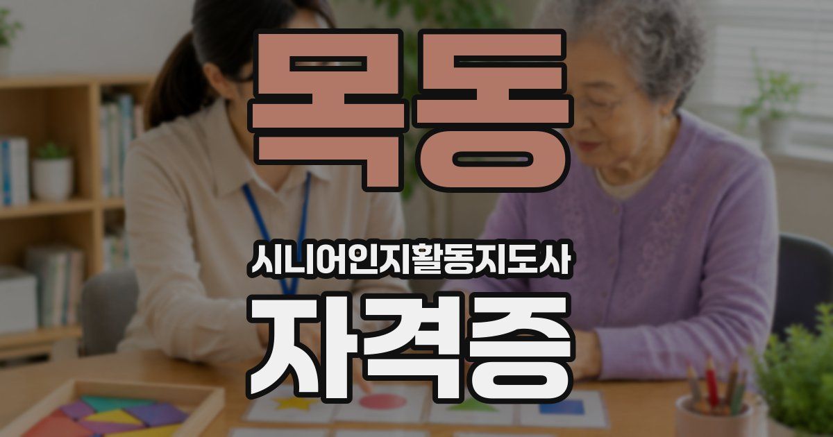 목동 시니어인지활동지도사 자격증