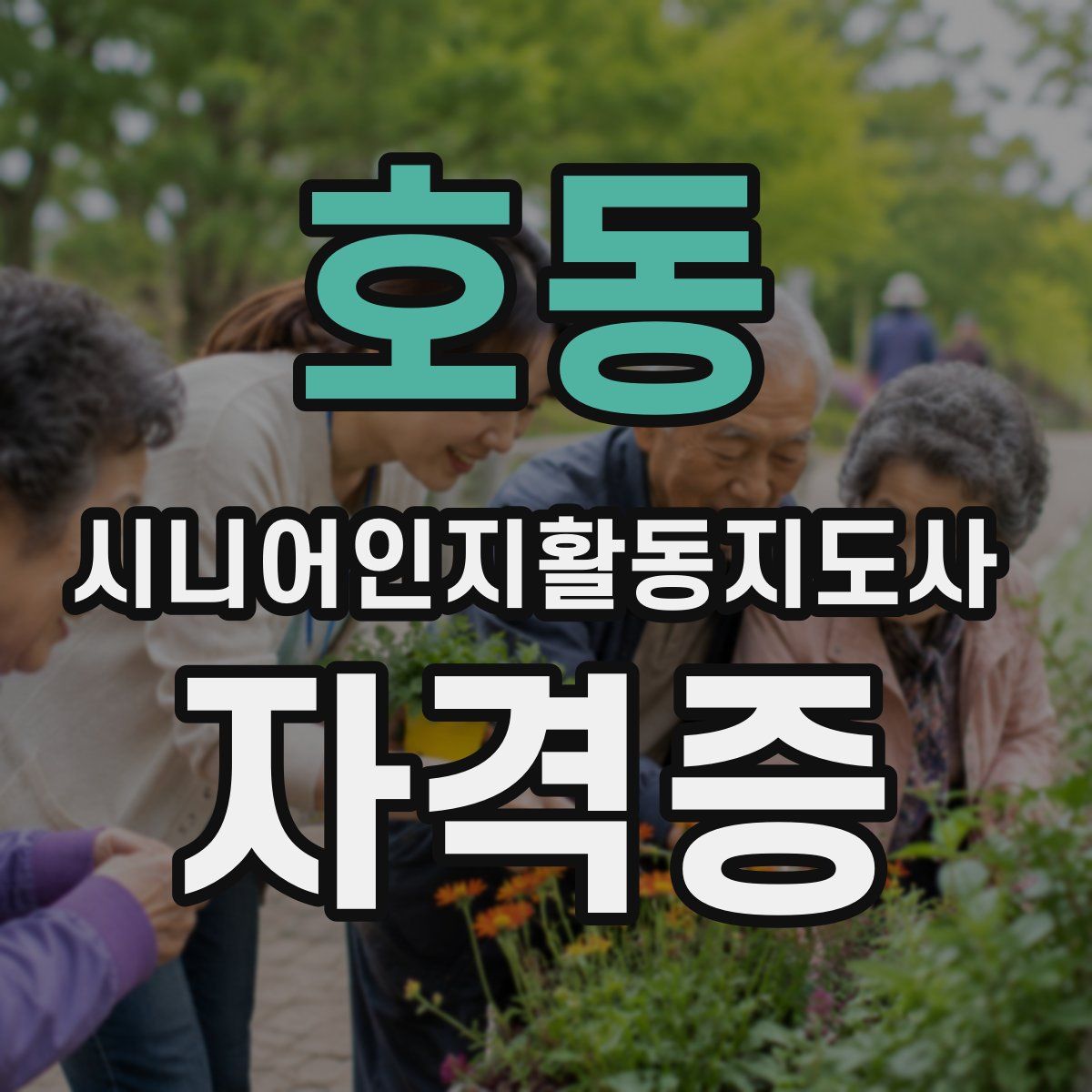 호동 시니어인지활동지도사 자격증