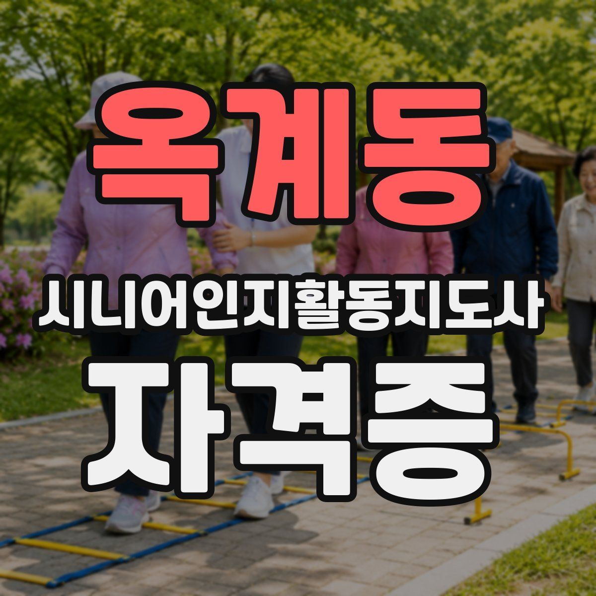 옥계동 시니어인지활동지도사 자격증
