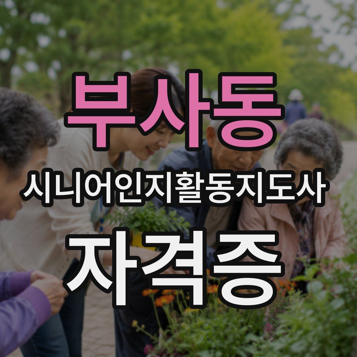 부사동 시니어인지활동지도사 자격증