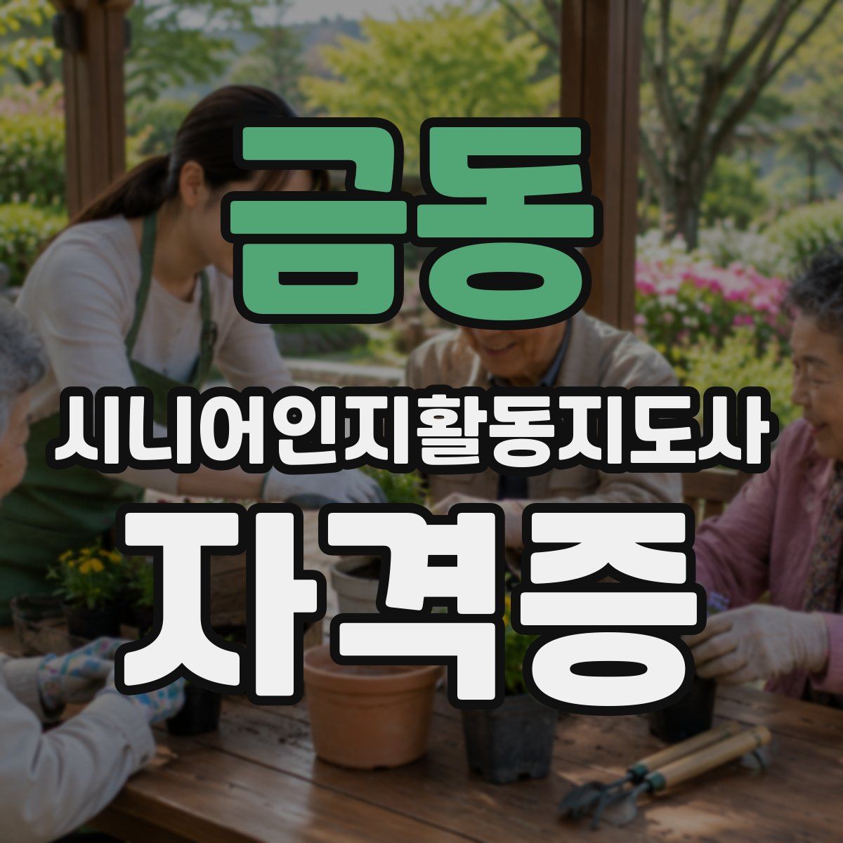 금동 시니어인지활동지도사 자격증