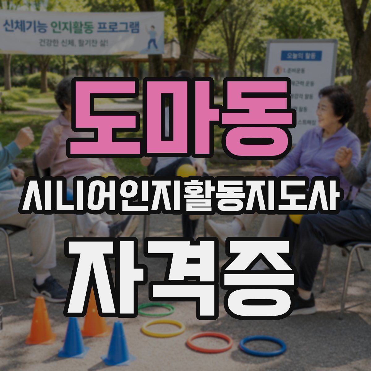 도마동 시니어인지활동지도사 자격증