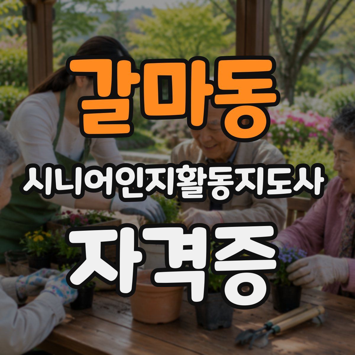 갈마동 시니어인지활동지도사 자격증