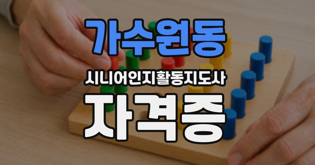 가수원동 시니어인지활동지도사 자격증