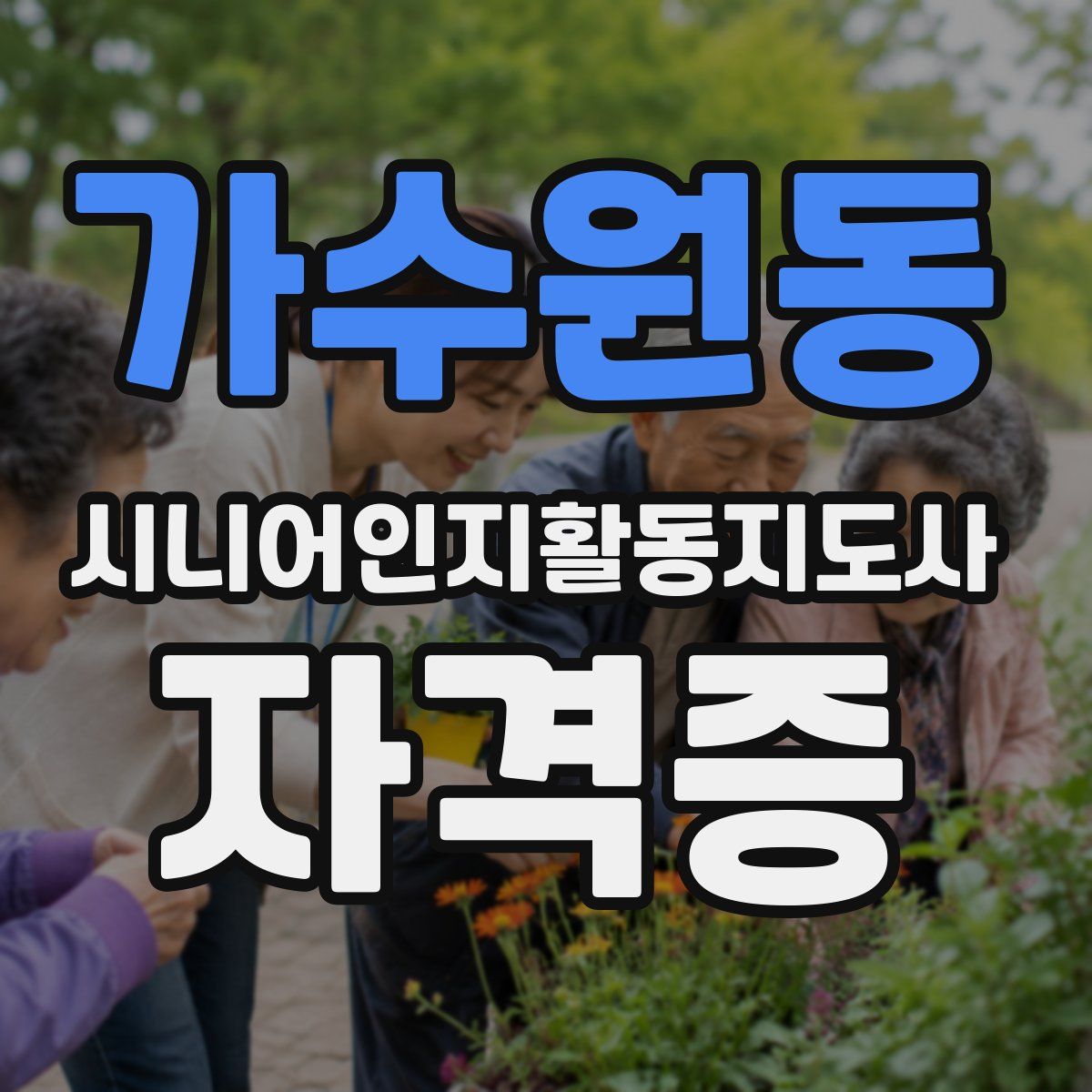 가수원동 시니어인지활동지도사 자격증