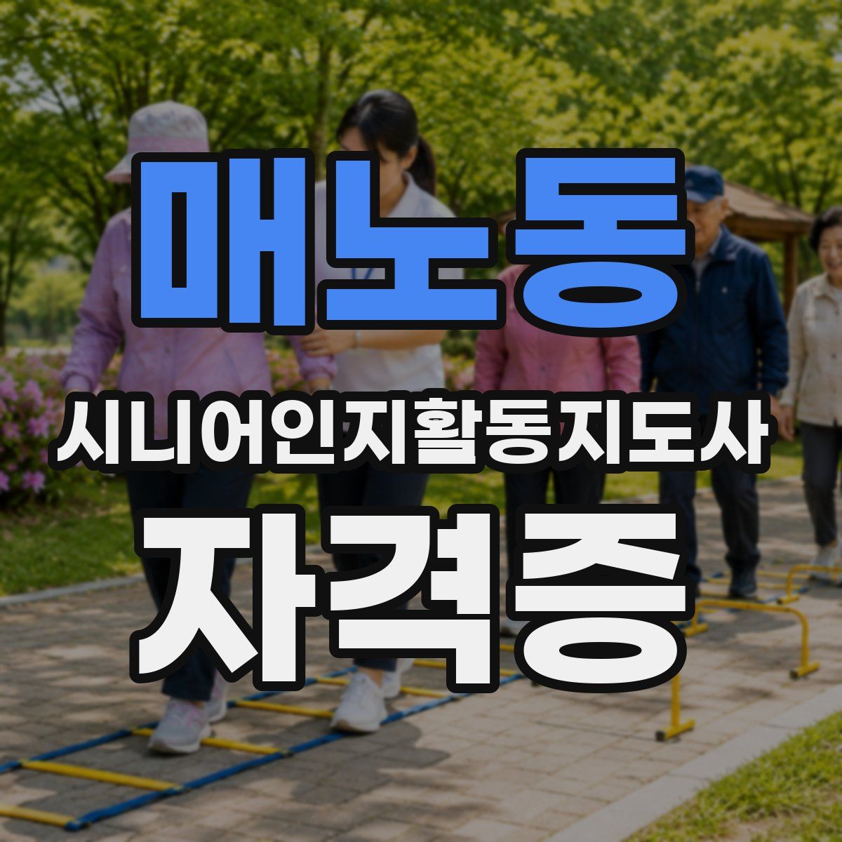 매노동 시니어인지활동지도사 자격증