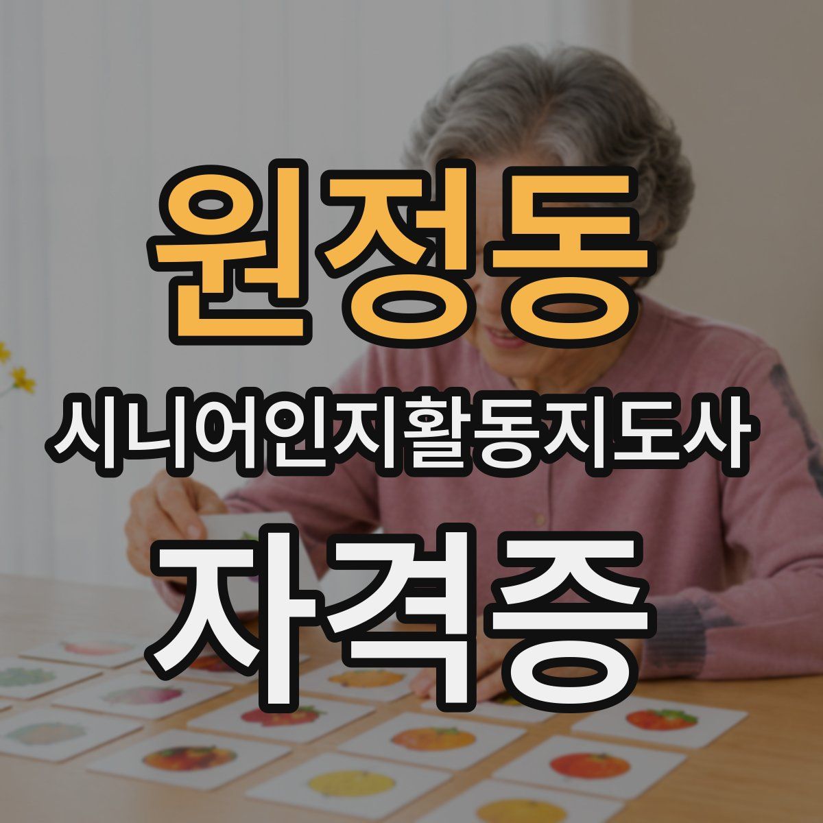 원정동 시니어인지활동지도사 자격증