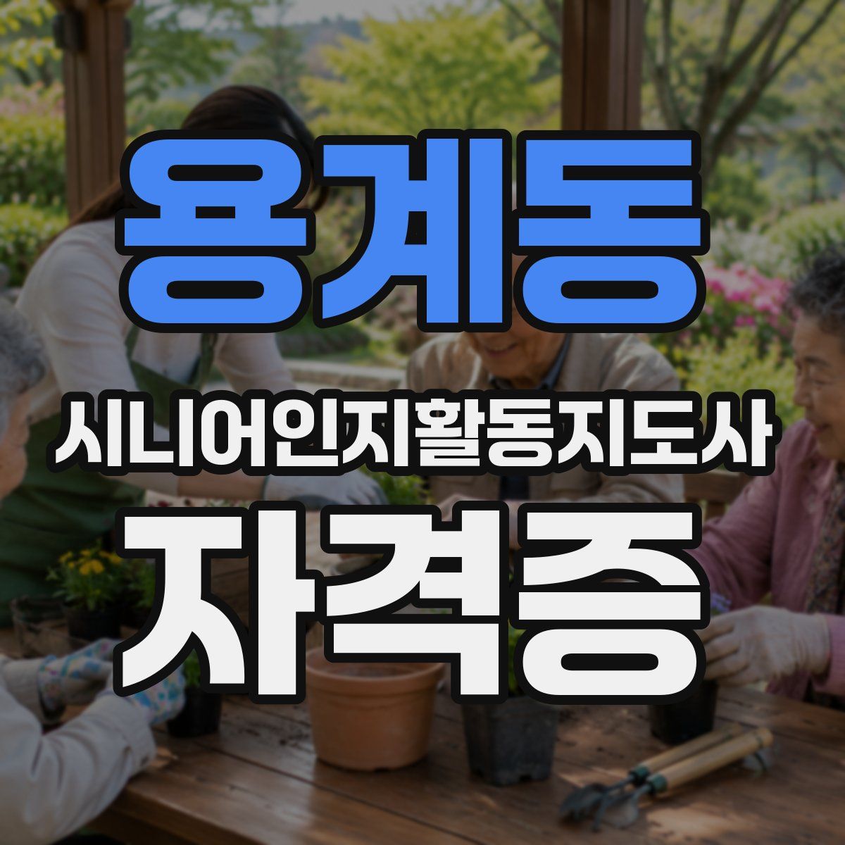 용계동 시니어인지활동지도사 자격증