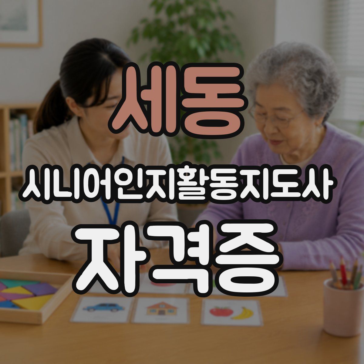 세동 시니어인지활동지도사 자격증