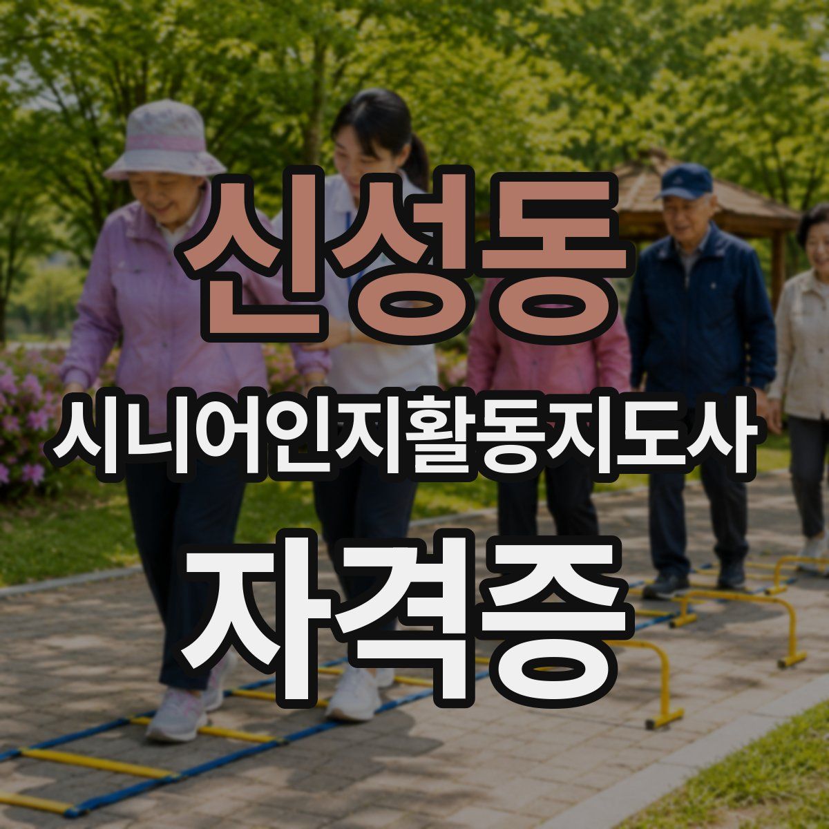 신성동 시니어인지활동지도사 자격증