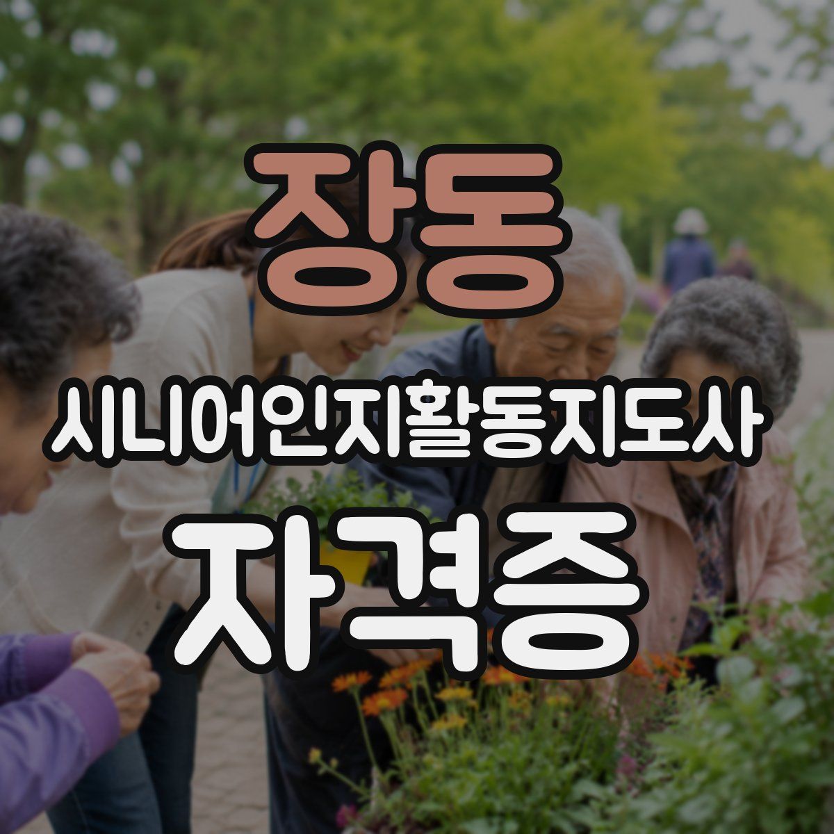 장동 시니어인지활동지도사 자격증