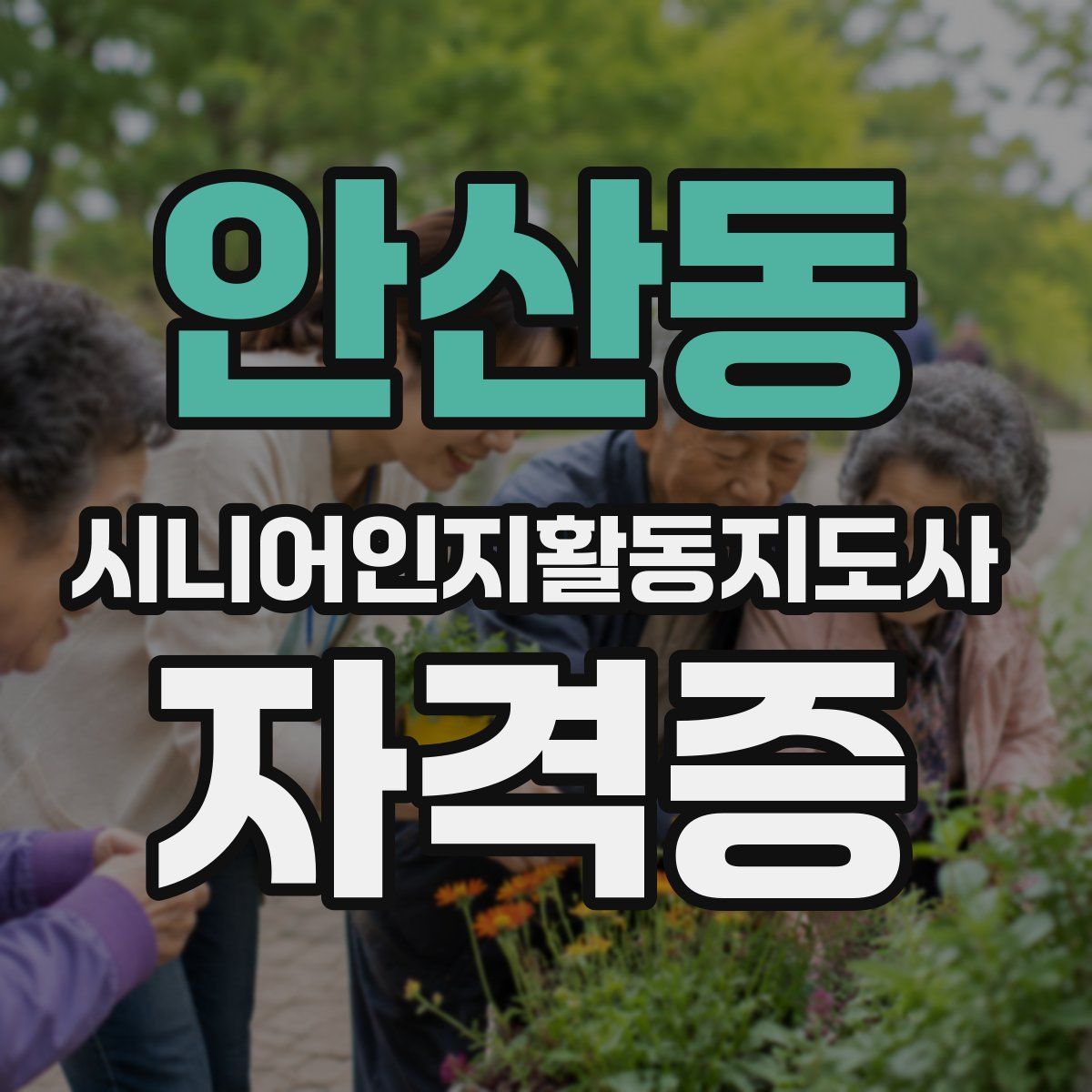 안산동 시니어인지활동지도사 자격증