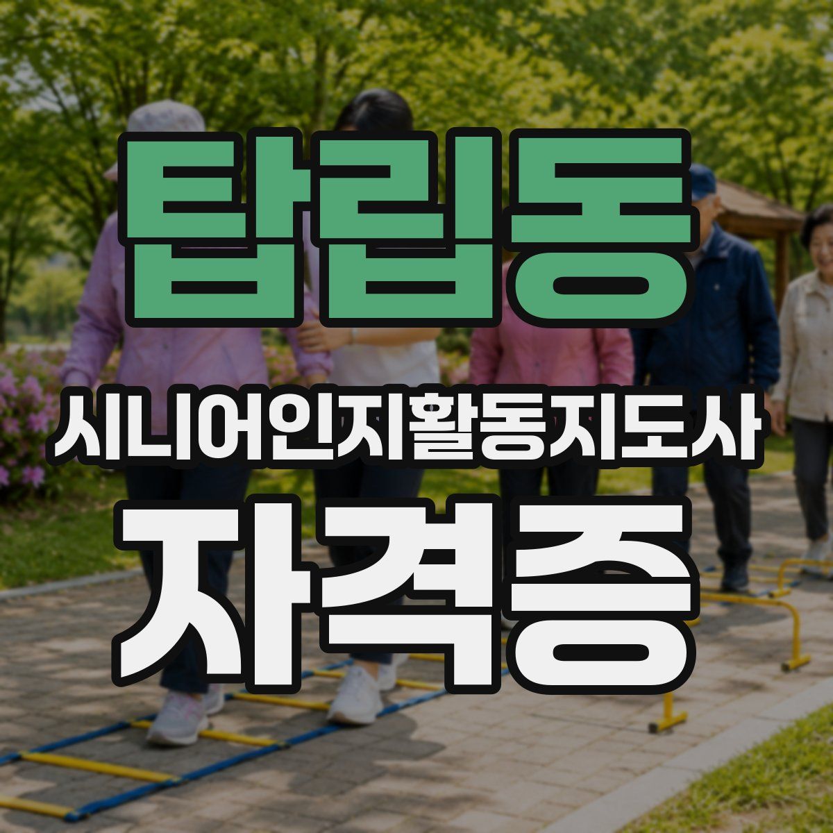 탑립동 시니어인지활동지도사 자격증