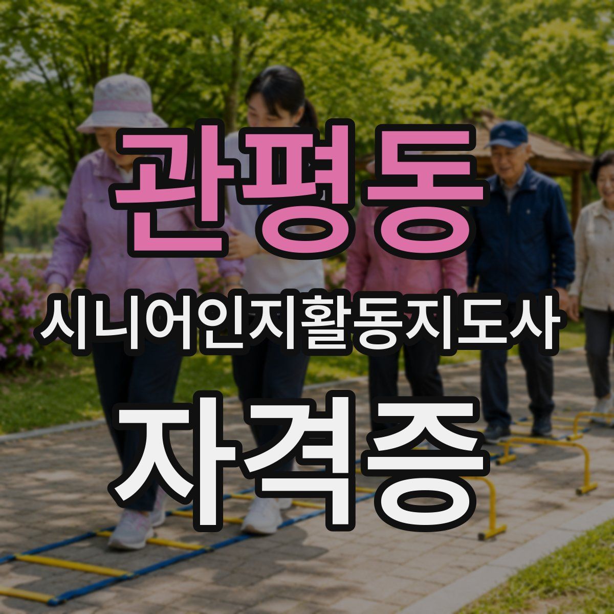 관평동 시니어인지활동지도사 자격증
