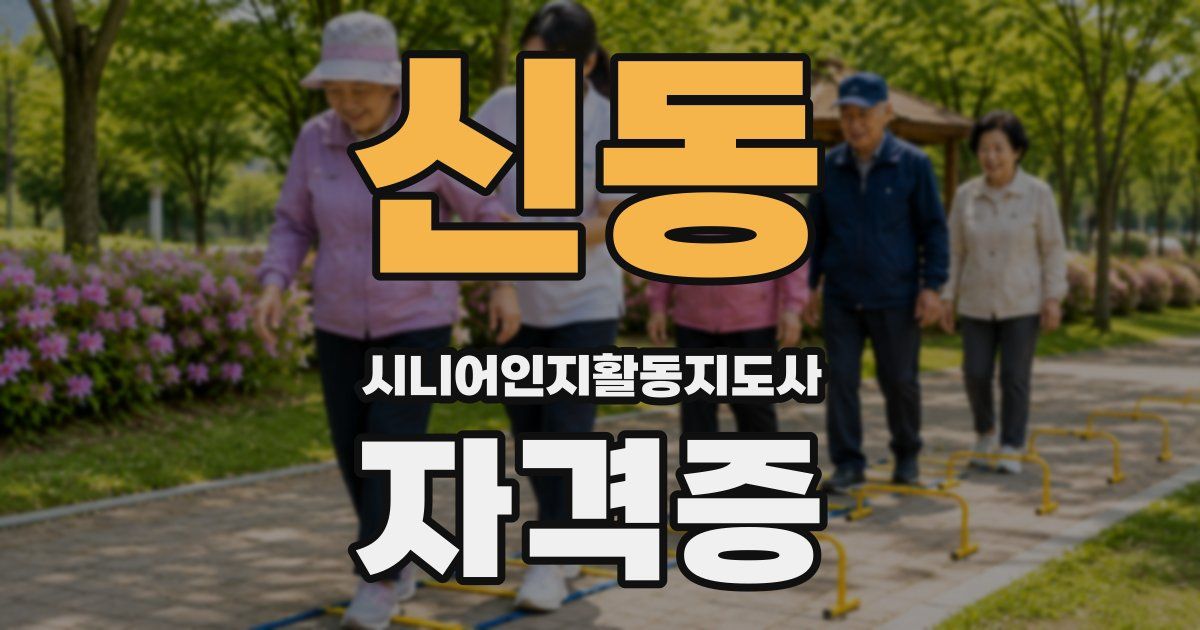 신동 시니어인지활동지도사 자격증