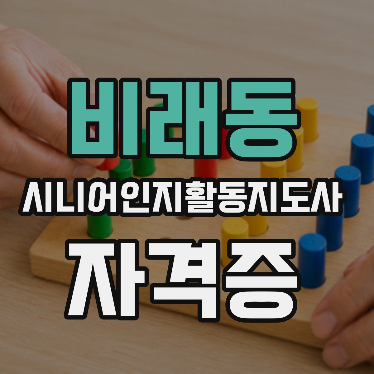 비래동 시니어인지활동지도사 자격증