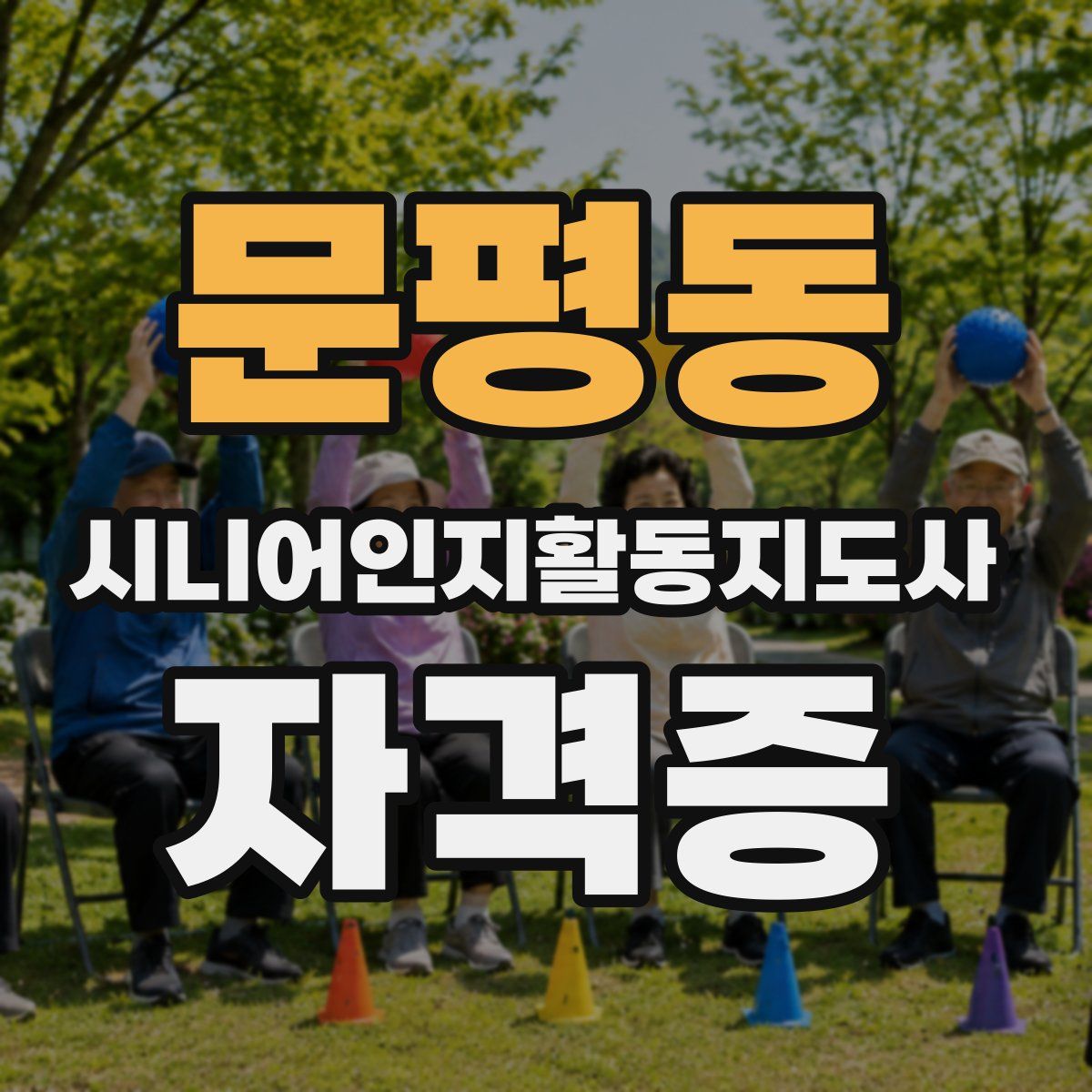 문평동 시니어인지활동지도사 자격증