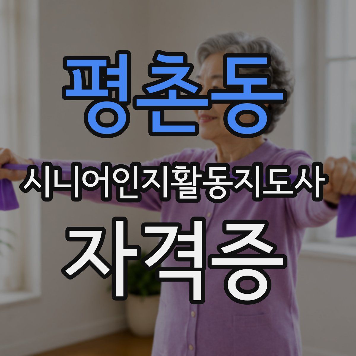 평촌동 시니어인지활동지도사 자격증