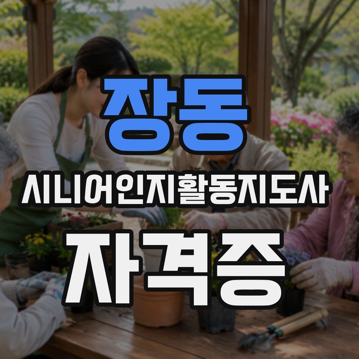 장동 시니어인지활동지도사 자격증