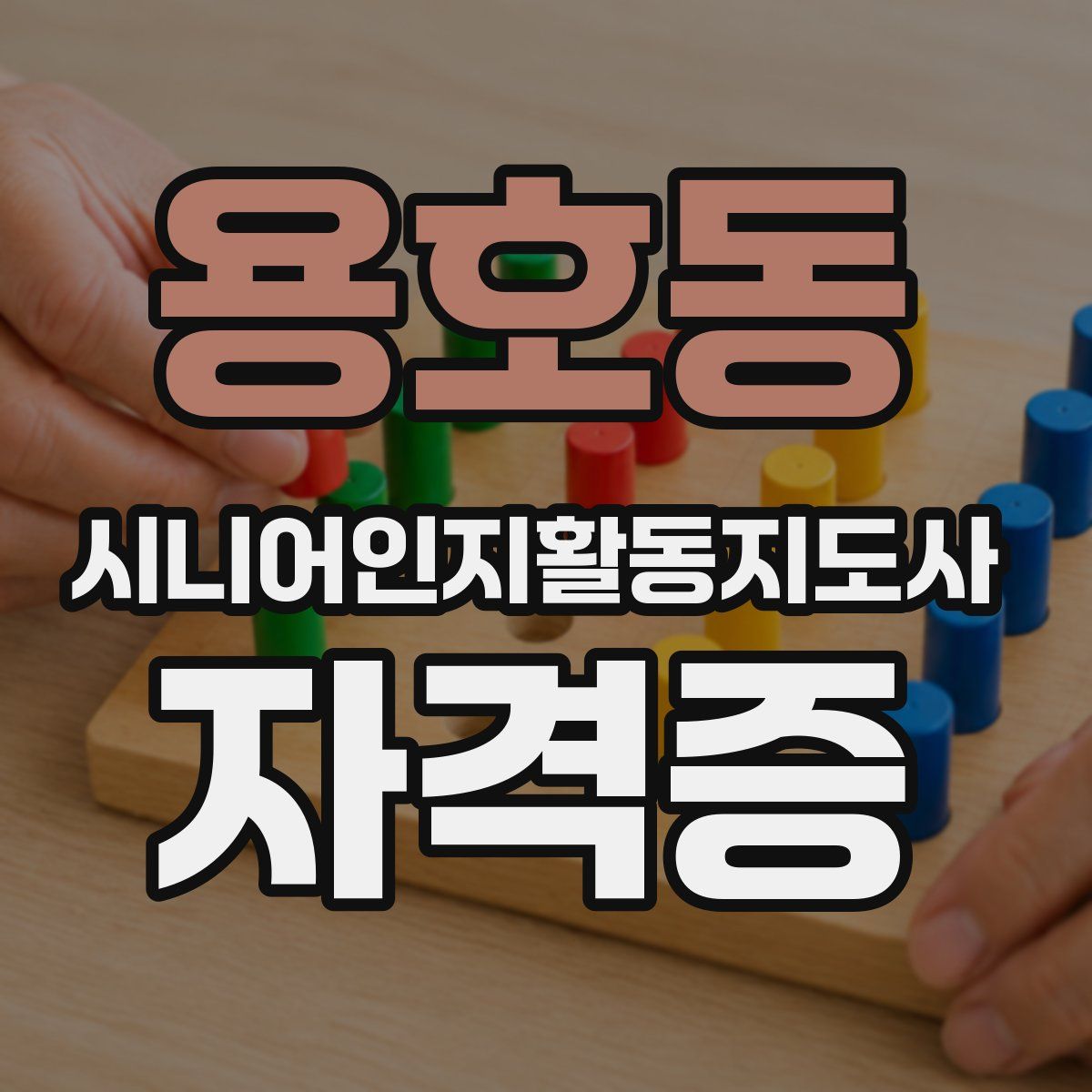 용호동 시니어인지활동지도사 자격증