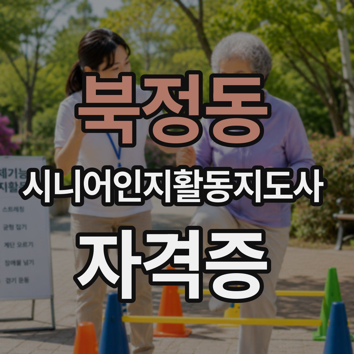 북정동 시니어인지활동지도사 자격증