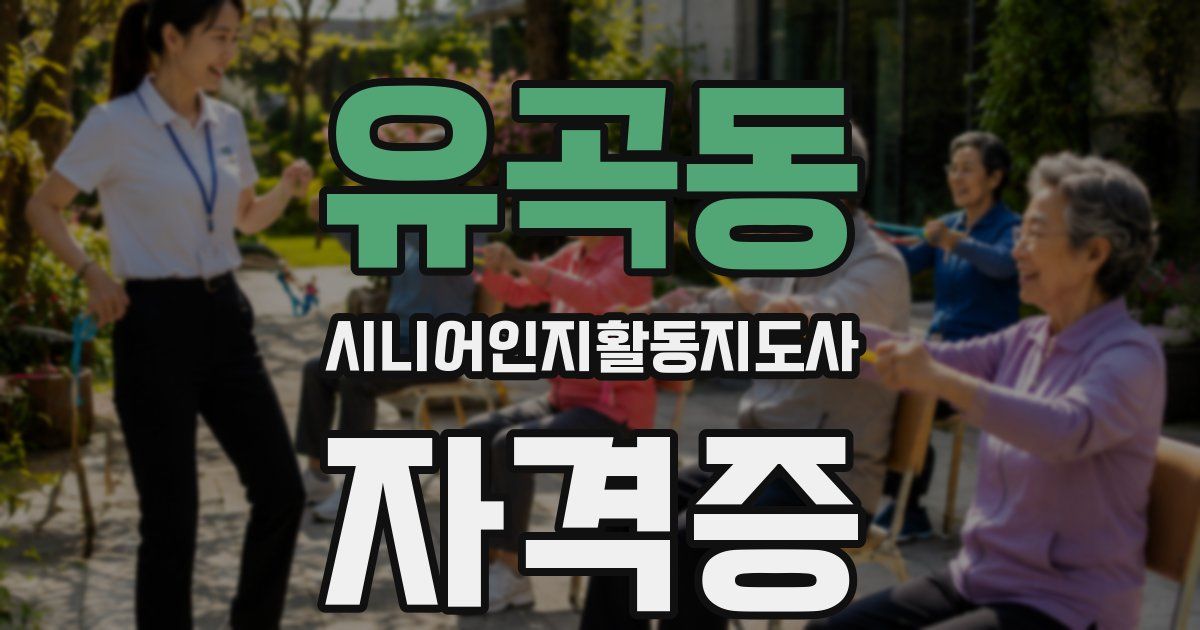 유곡동 시니어인지활동지도사 자격증